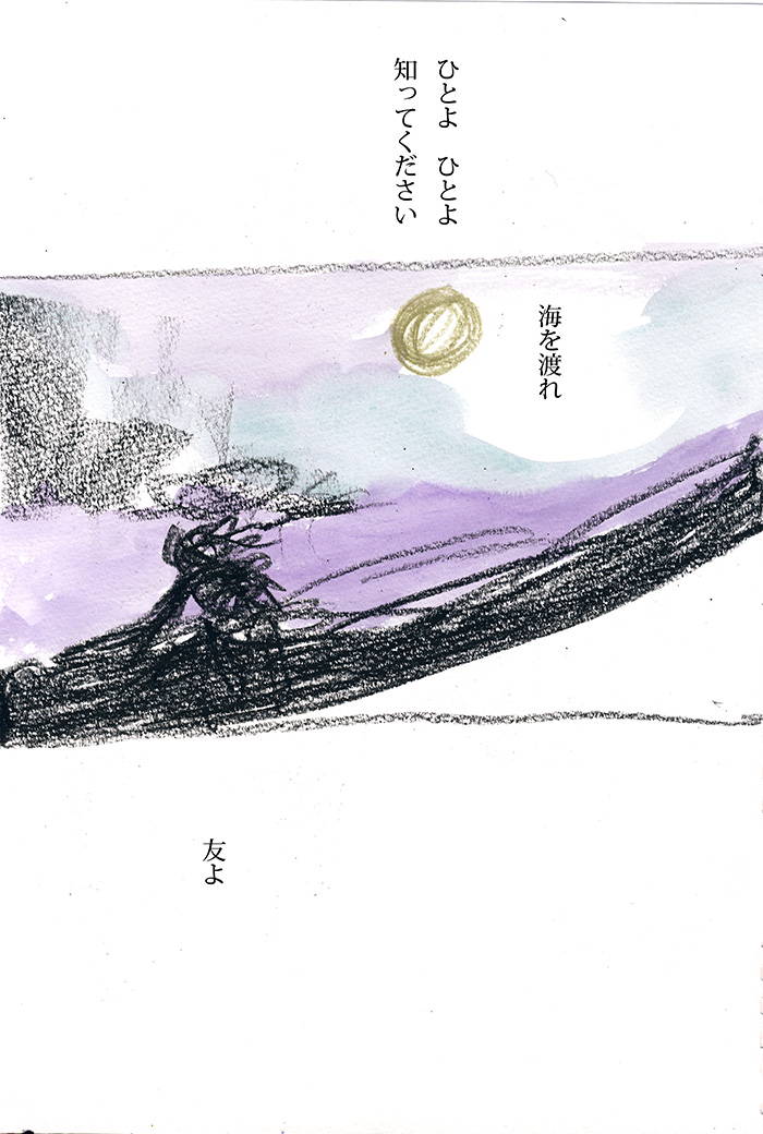 小さな海の小さな蛙 - 11