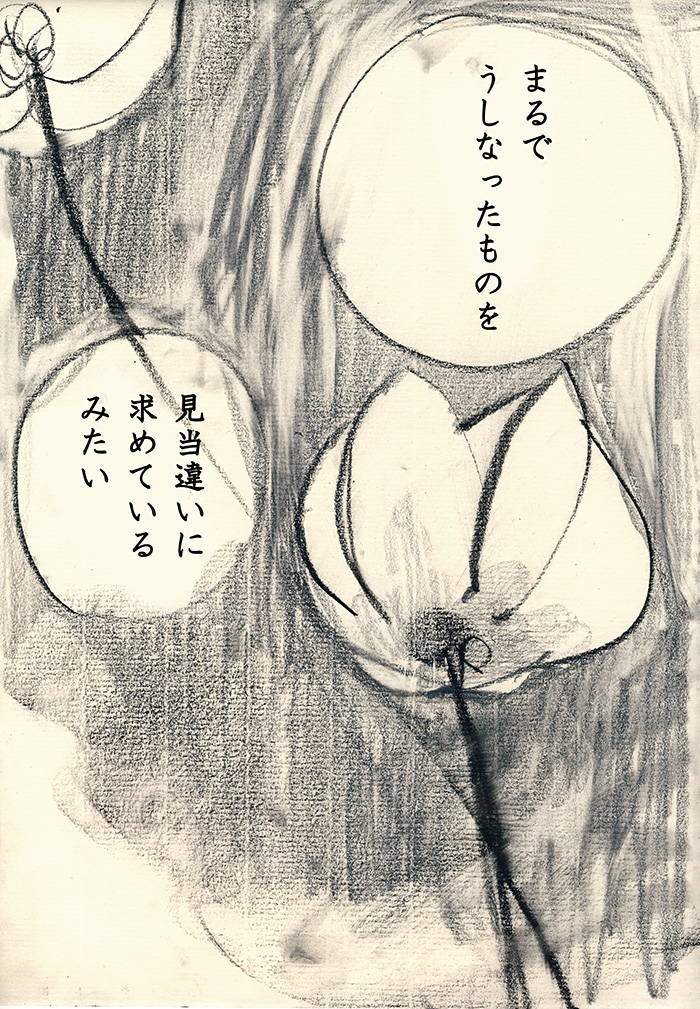 睡蓮 - 01