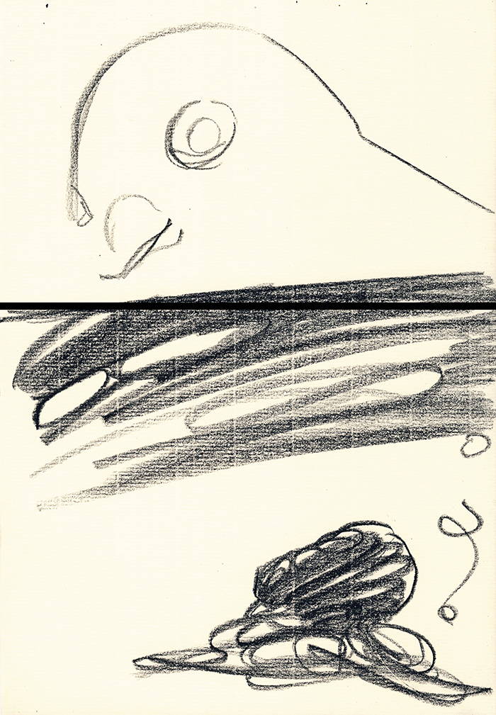 ハトとたこ - 08