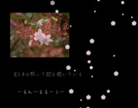 RとDの物語のイメージ