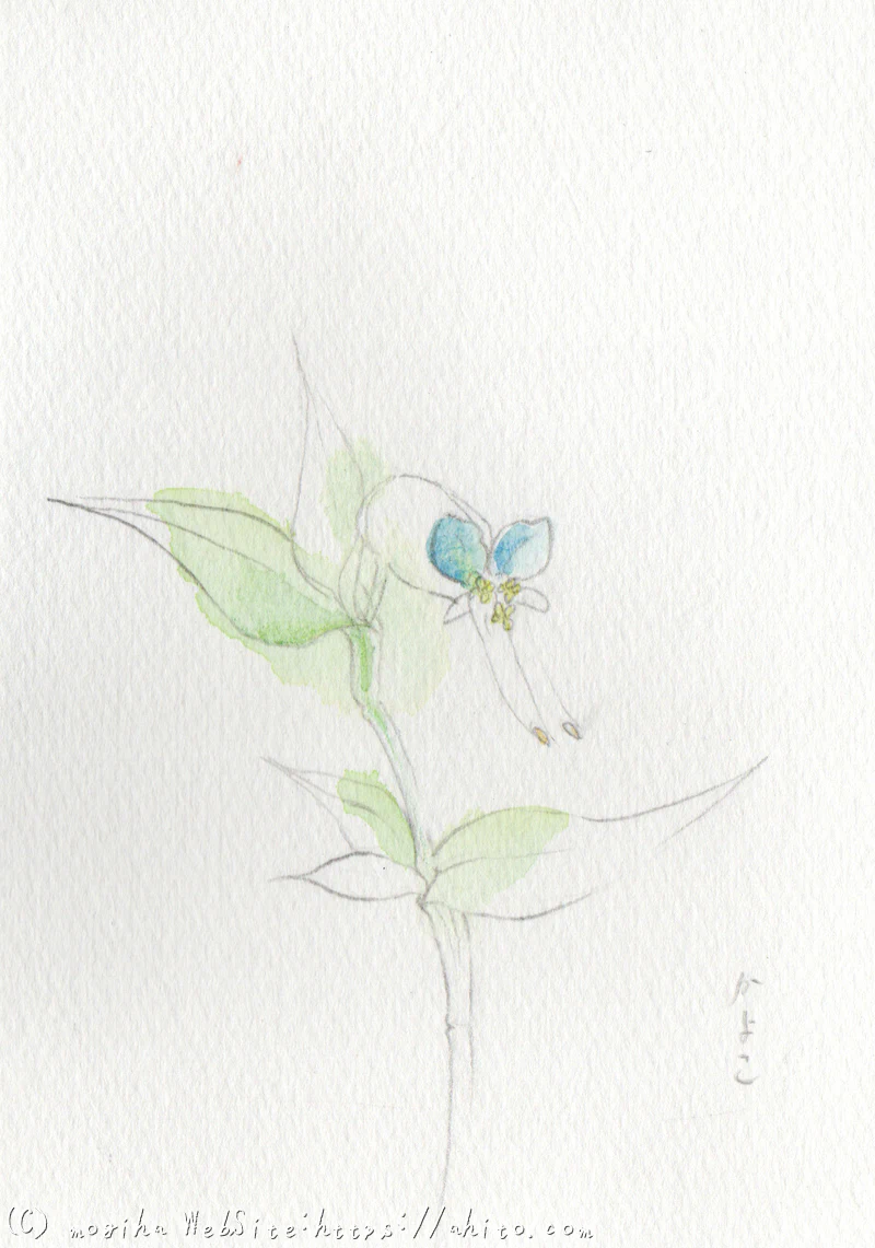 夏も終わり(今週の絵)