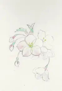 ほころびはじめる