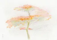 寒いけれどあたたかかった