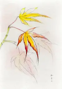 もみじ・習作のイメージ画像