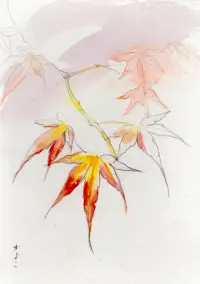 赤のイメージ画像