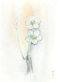 寒いねのイメージ画像