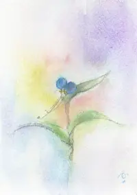 うたうつゆ草のイメージ画像