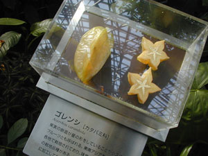 実のサンプルだって