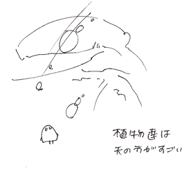 植物は天の方がすごい