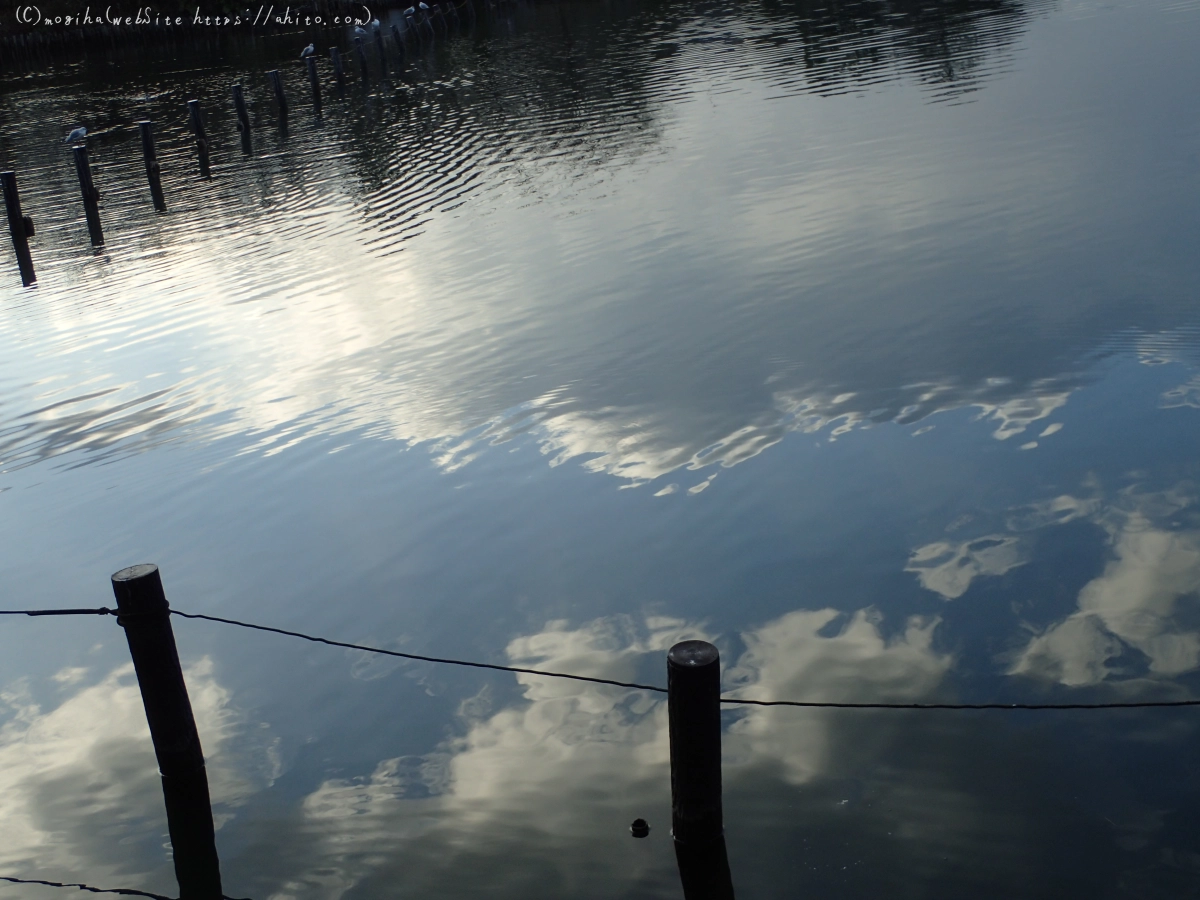 朝日の池 - 03