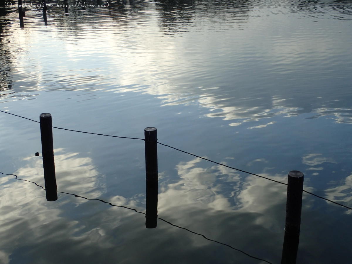 朝日の池 - 04
