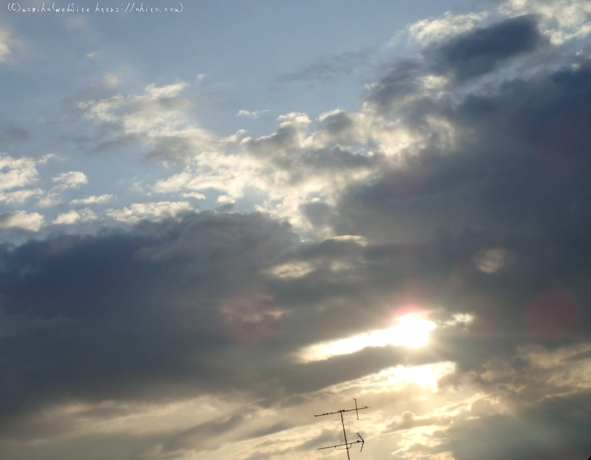 朝日のさす - 26