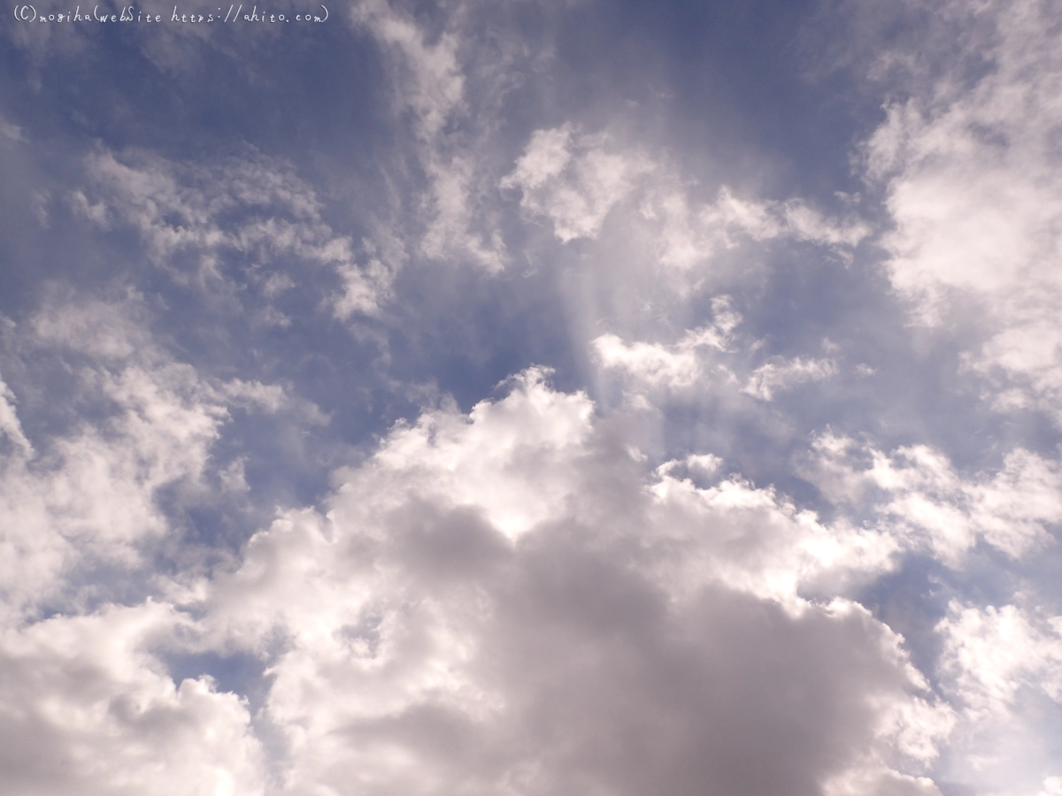 やさしい空 - 11