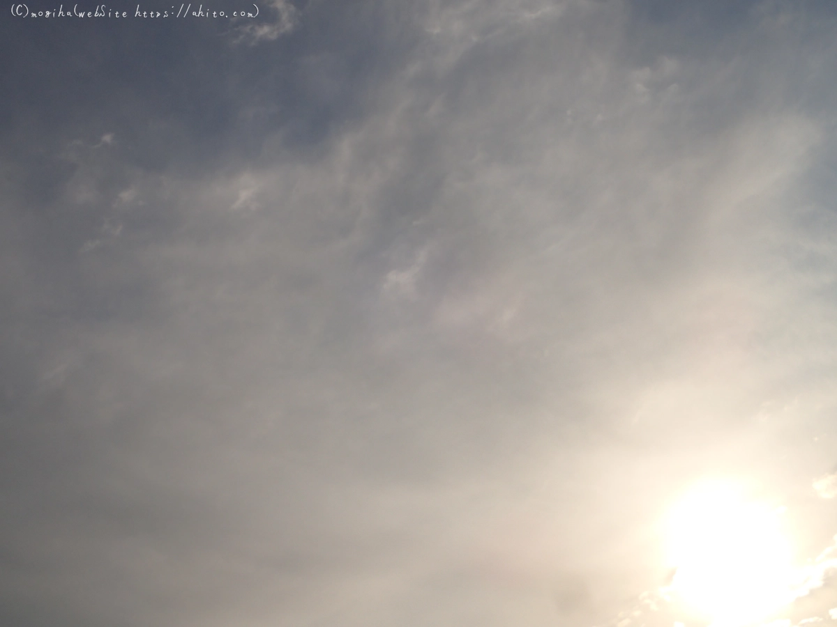 朝焼け - 23