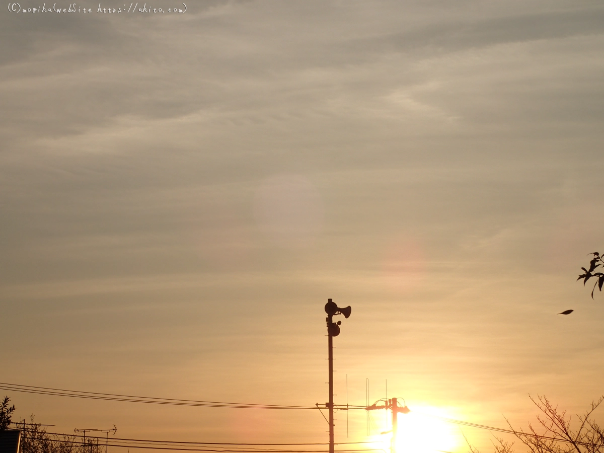 朝日と池と鴨 - 01
