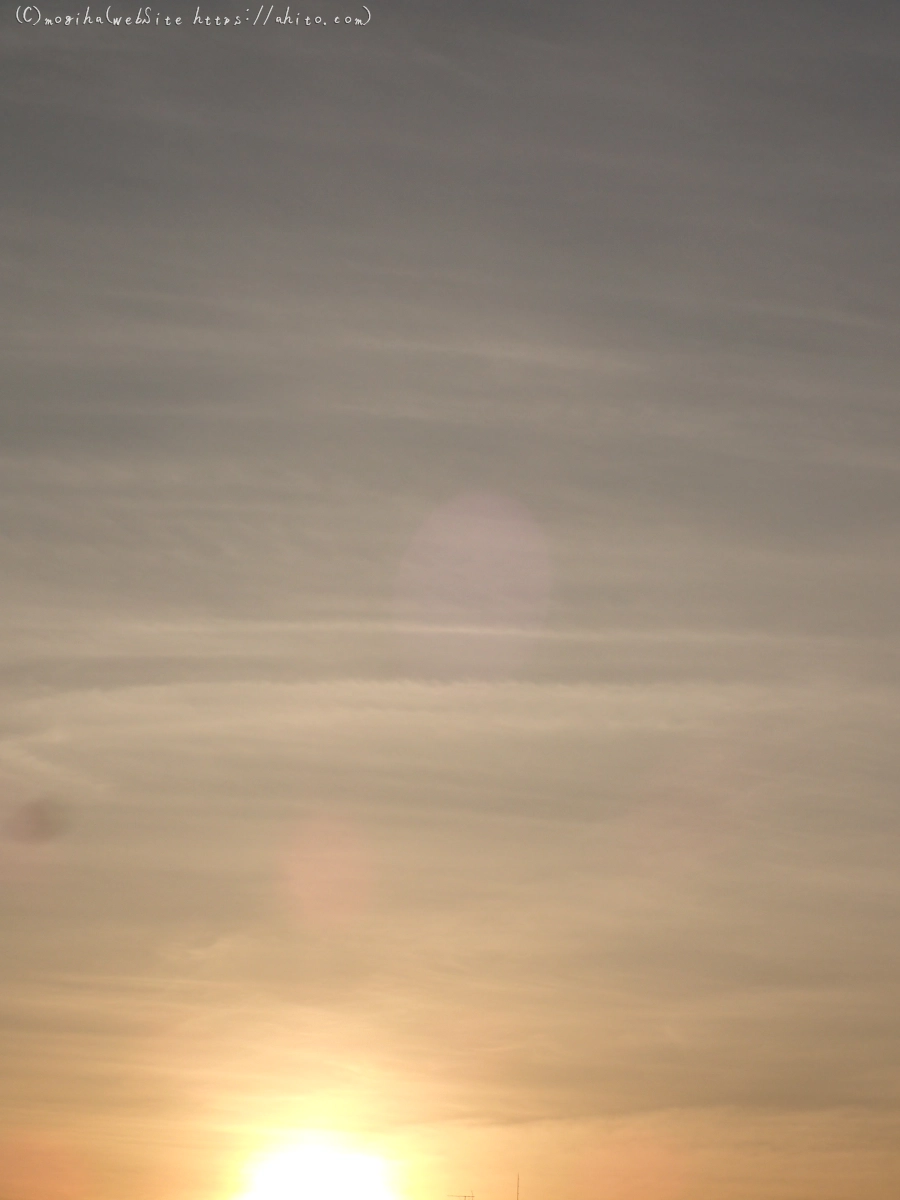 朝日と池と鴨 - 02