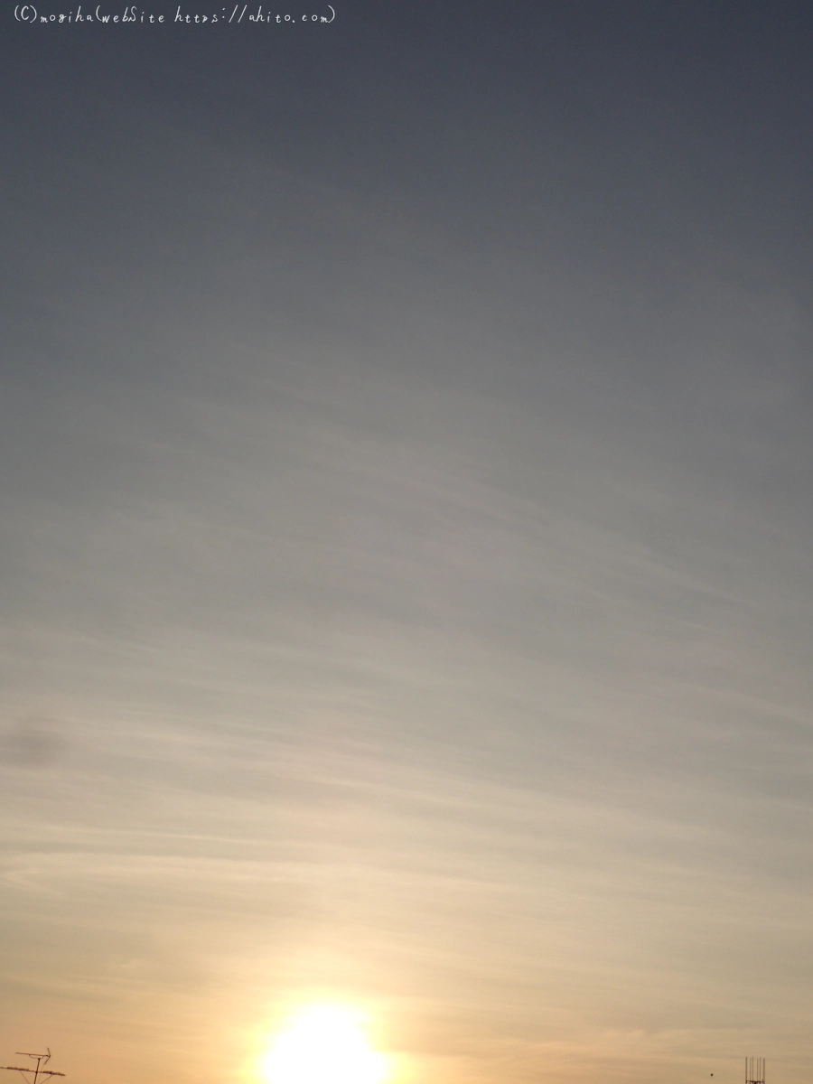 朝日と池と鴨 - 03