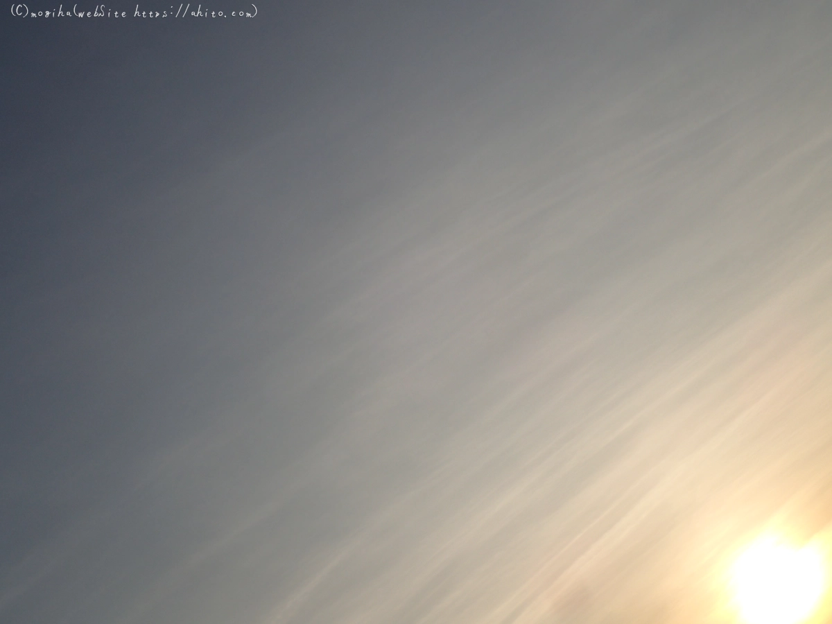 朝日と池と鴨 - 04