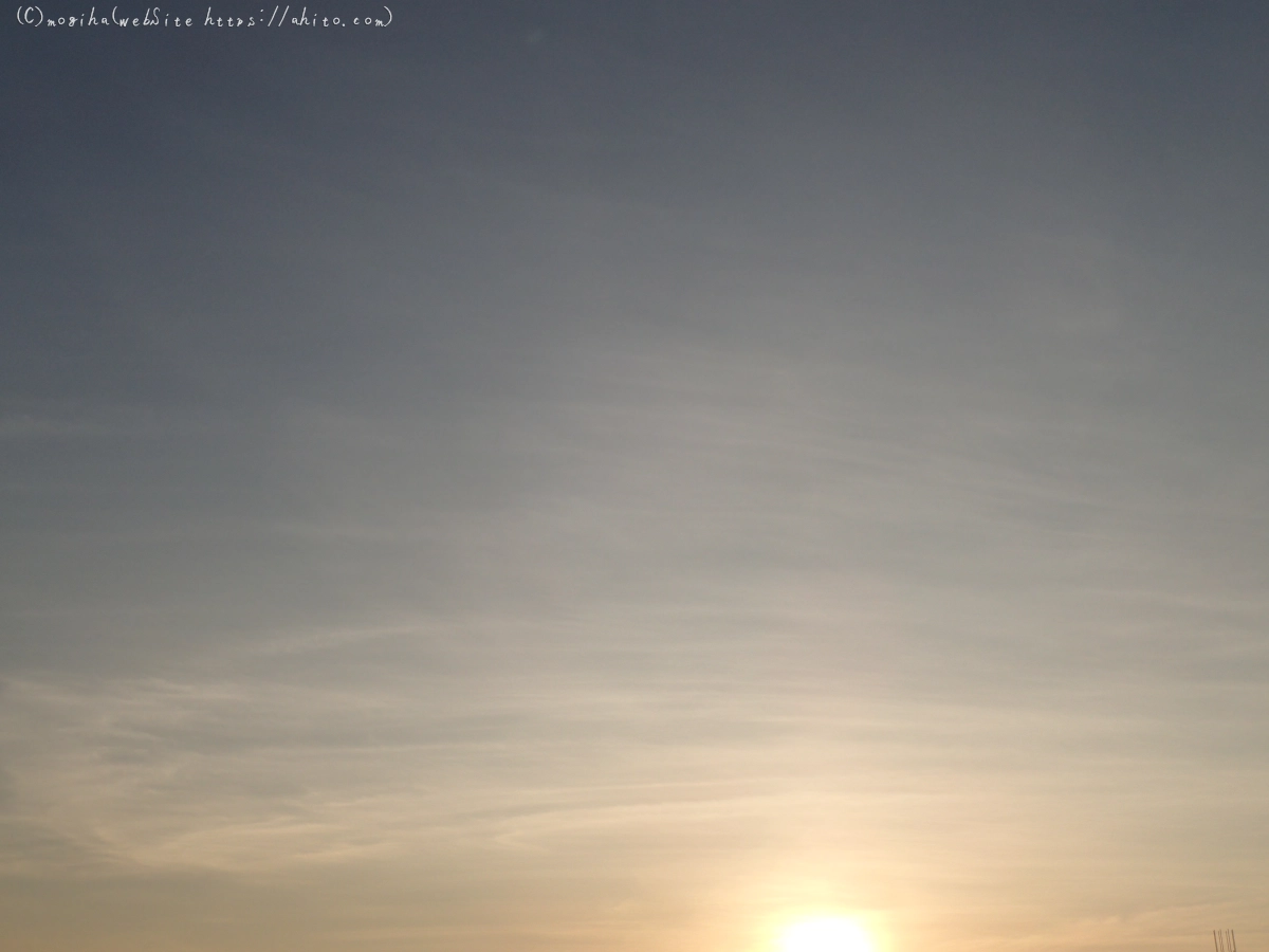 朝日と池と鴨 - 05