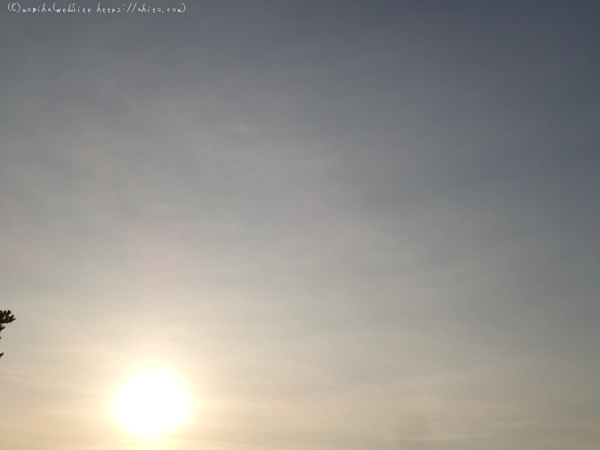 朝日と池と鴨 - 10