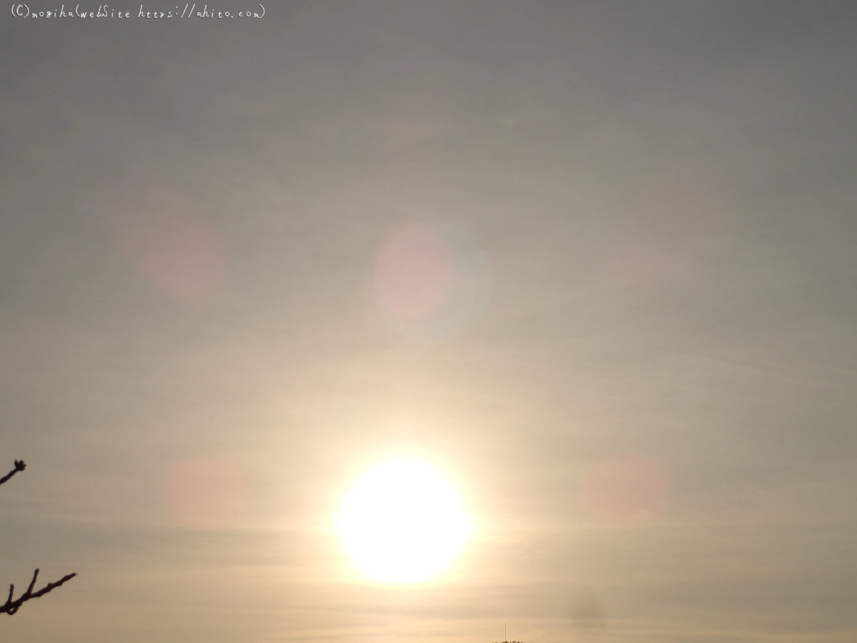 朝日と池と鴨 - 16