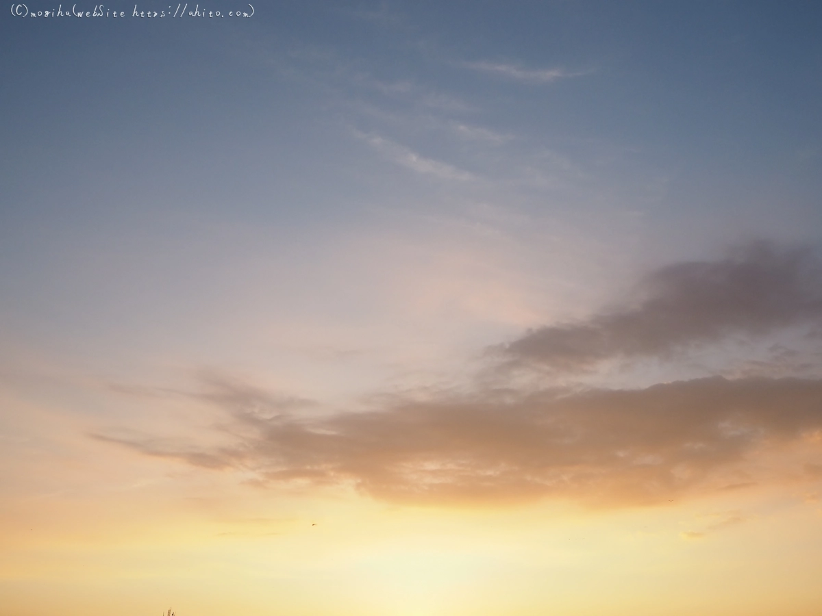 夏の空・２ - 06