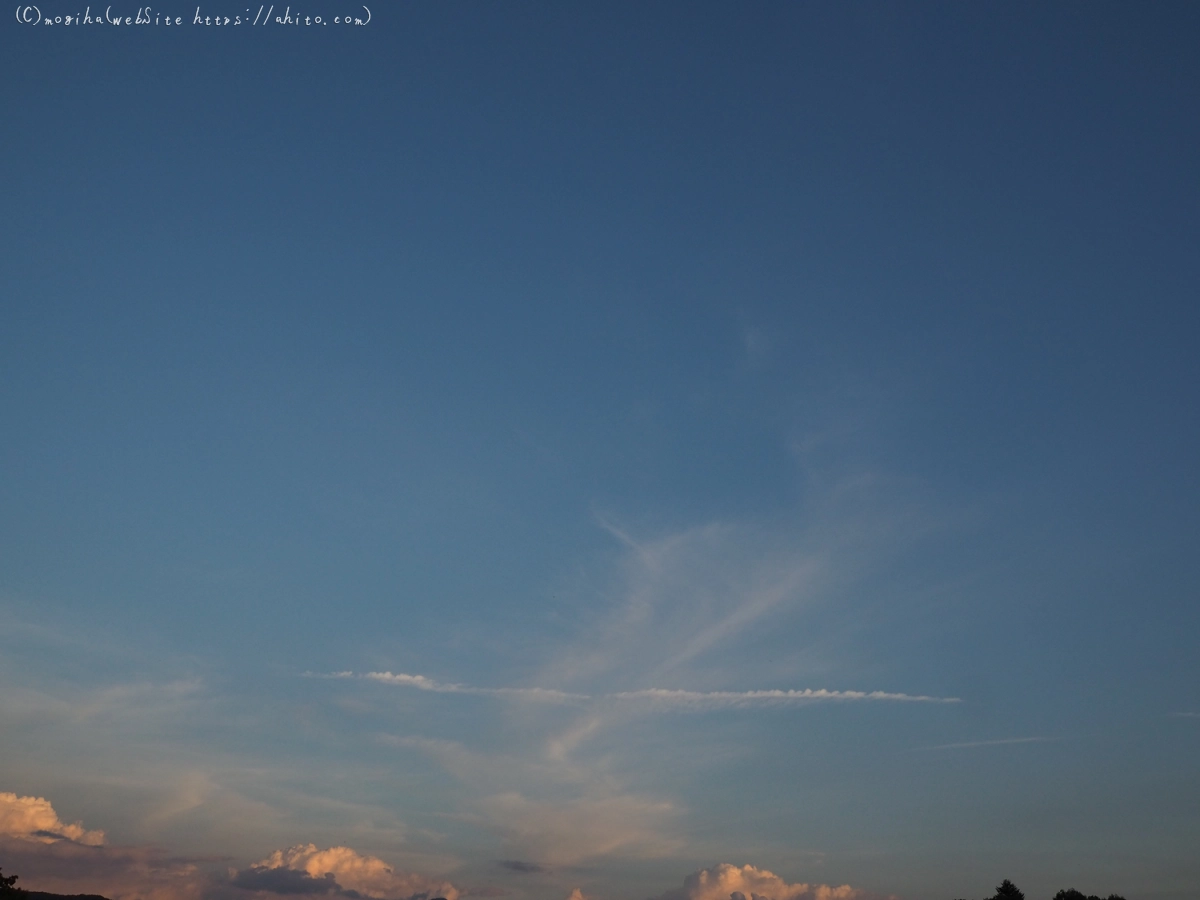 夏の空・２ - 11