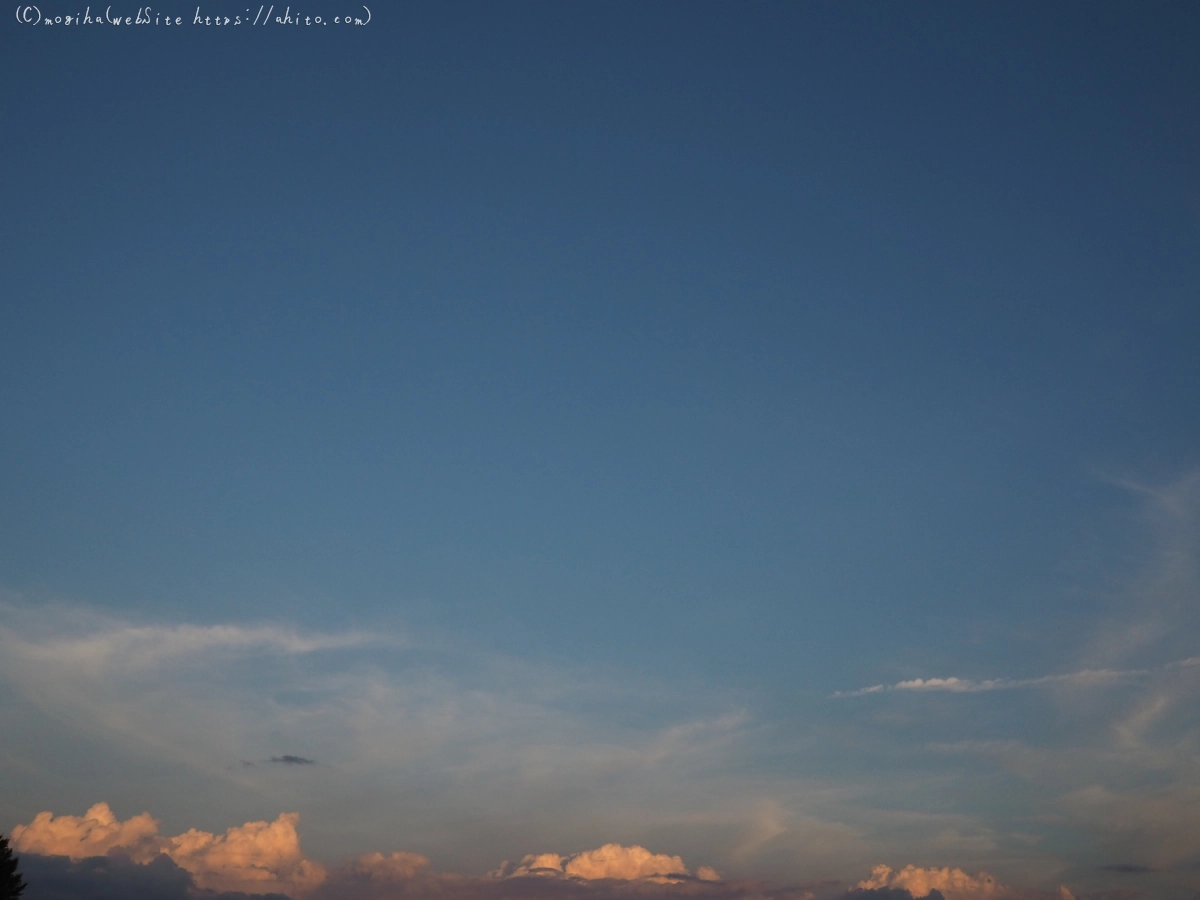夏の空・２ - 12