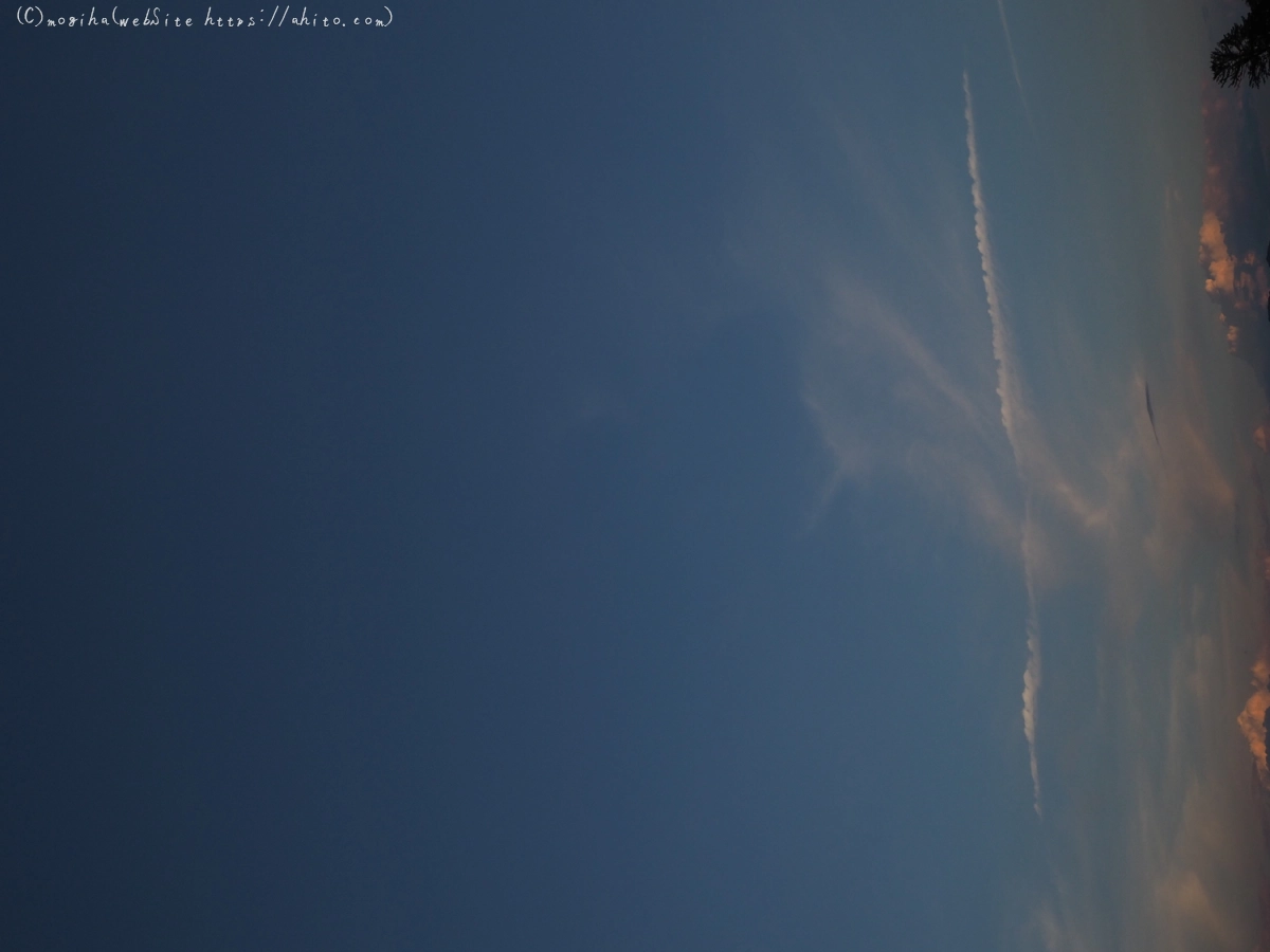 夏の空・２ - 13