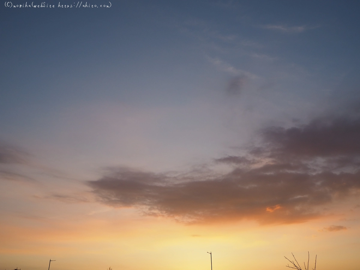 夏の空・２ - 14