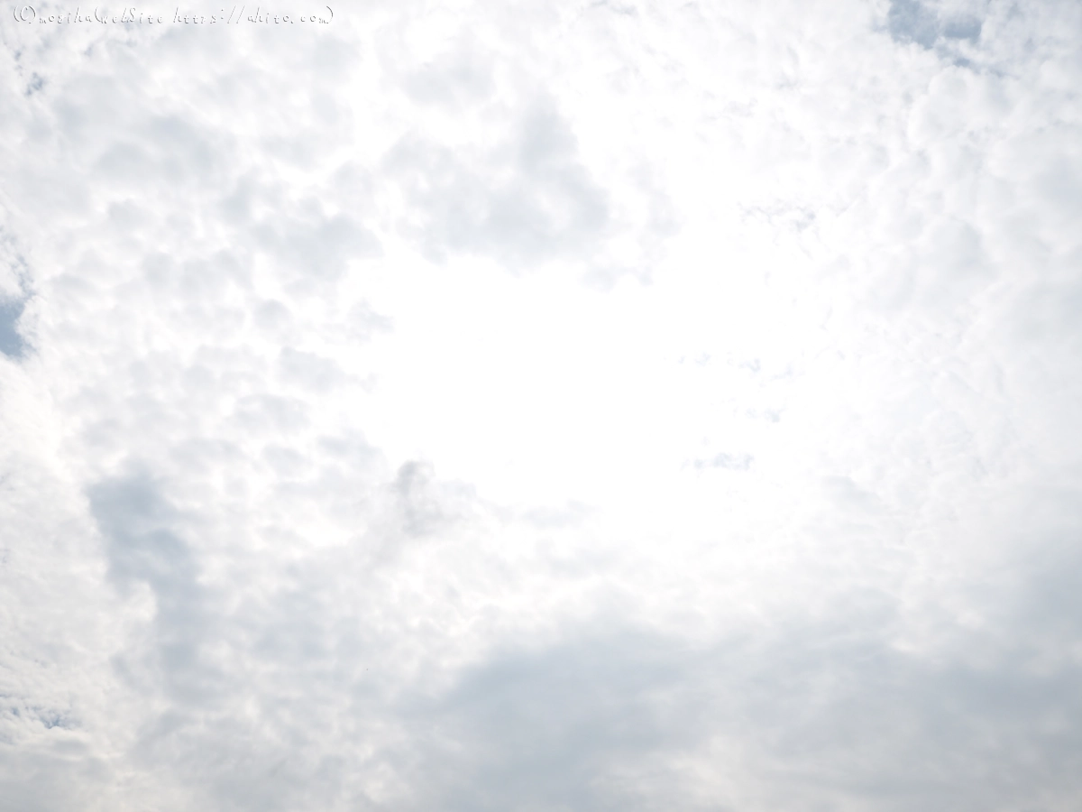 夏の空・３ - 03