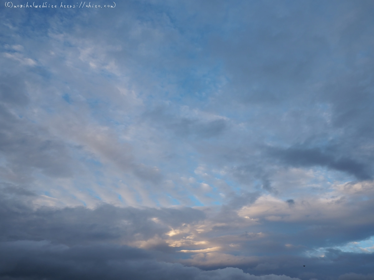 夏の空・６ - 02