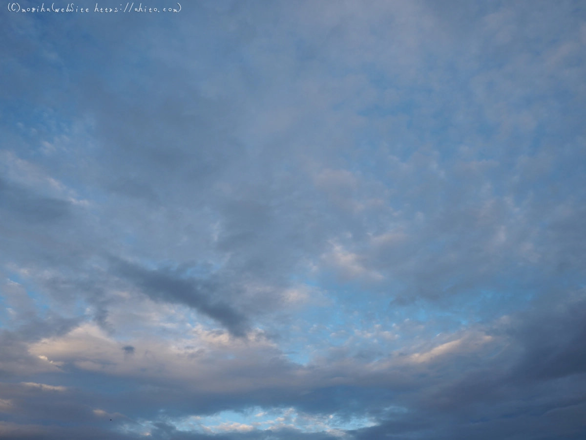 夏の空・６ - 04