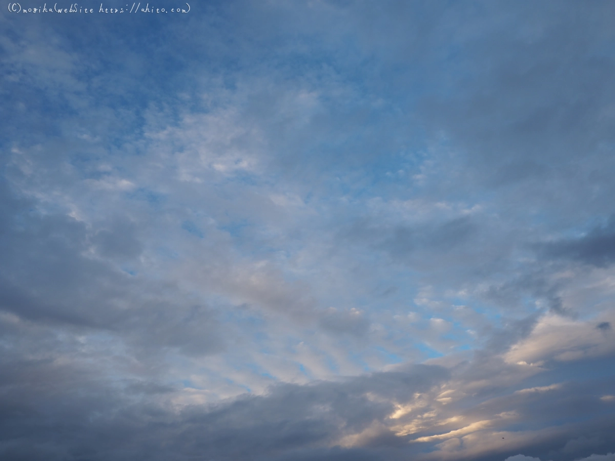 夏の空・６ - 05