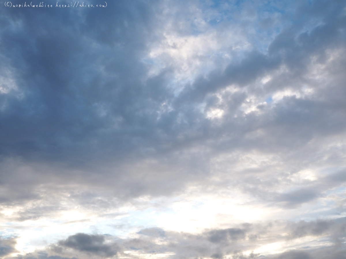 夏の空・６ - 14