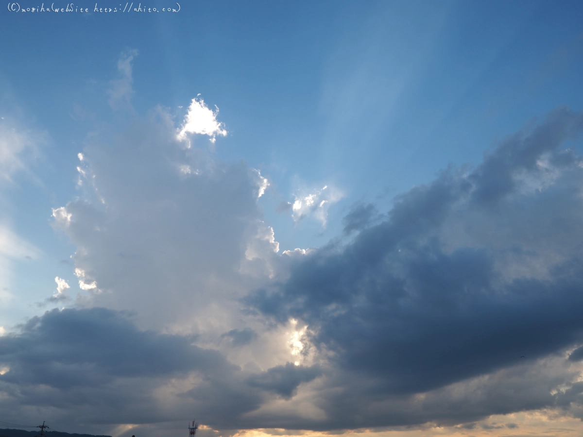 夏の空・８ - 15