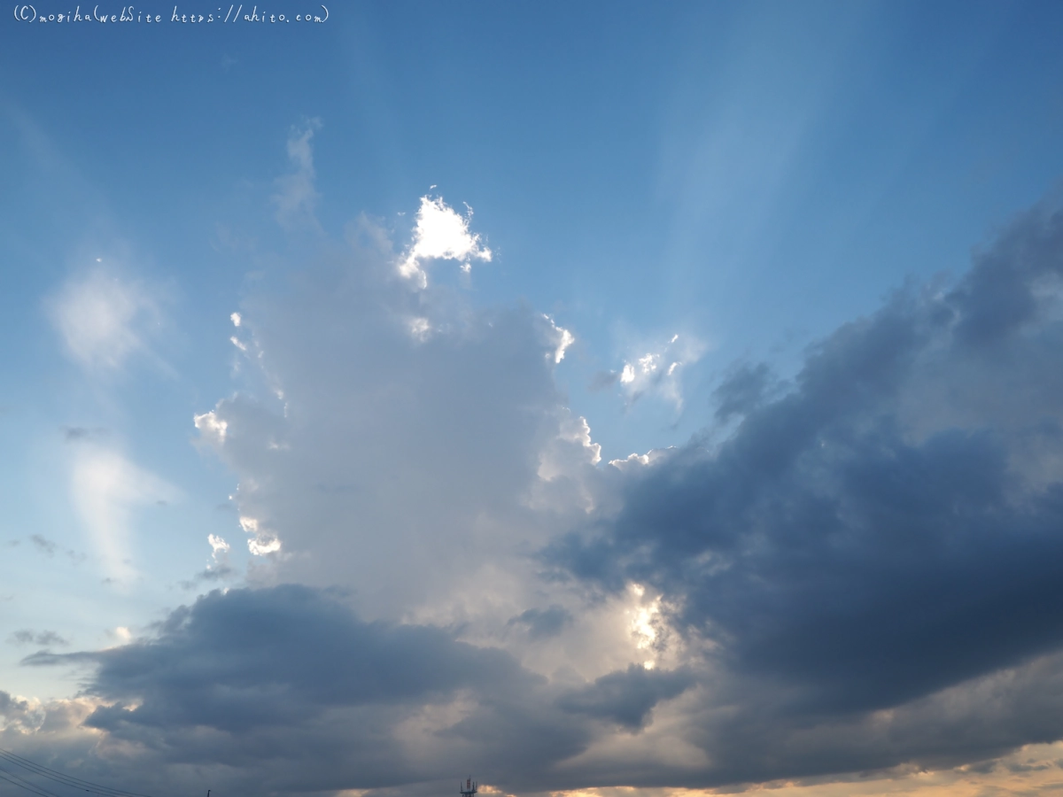 夏の空・８ - 17