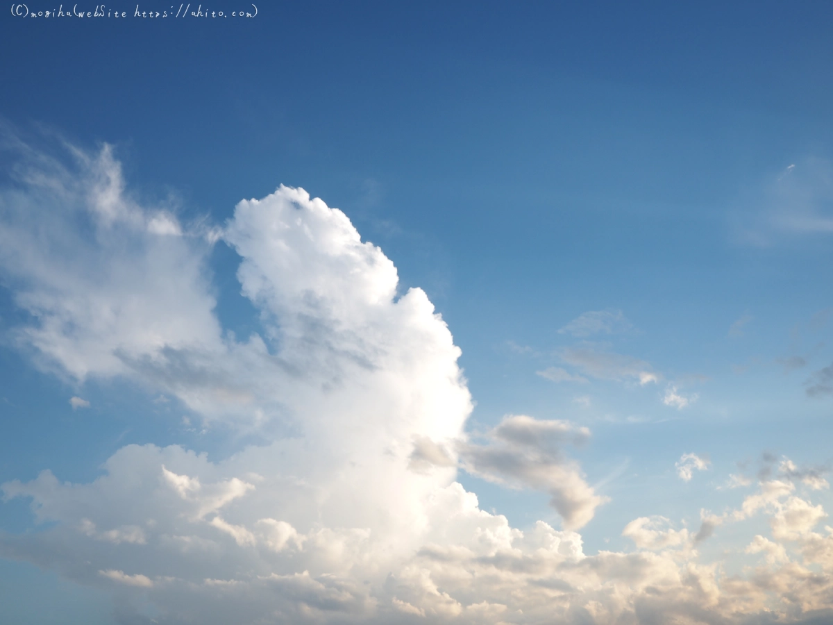 夏の空・８ - 21
