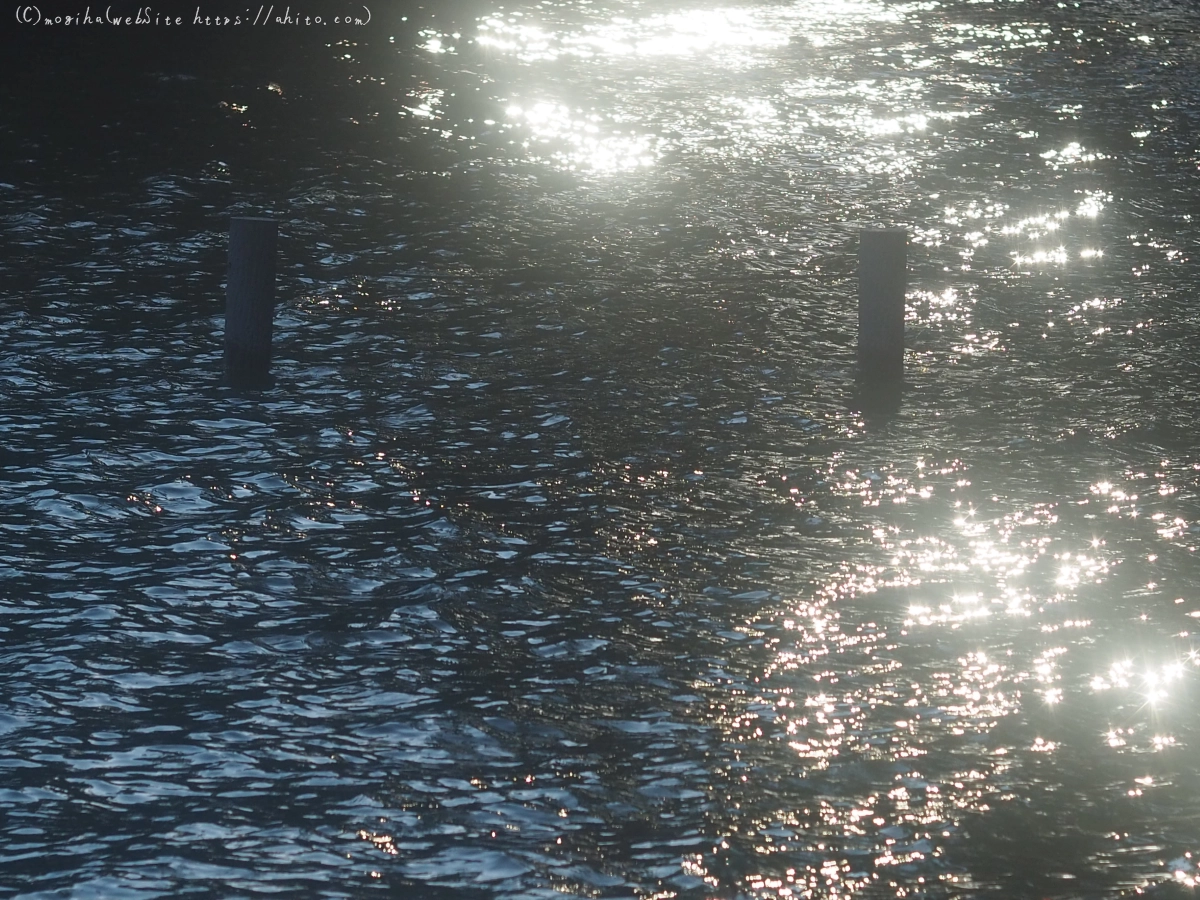 池と草(オールドレンズ) - 17