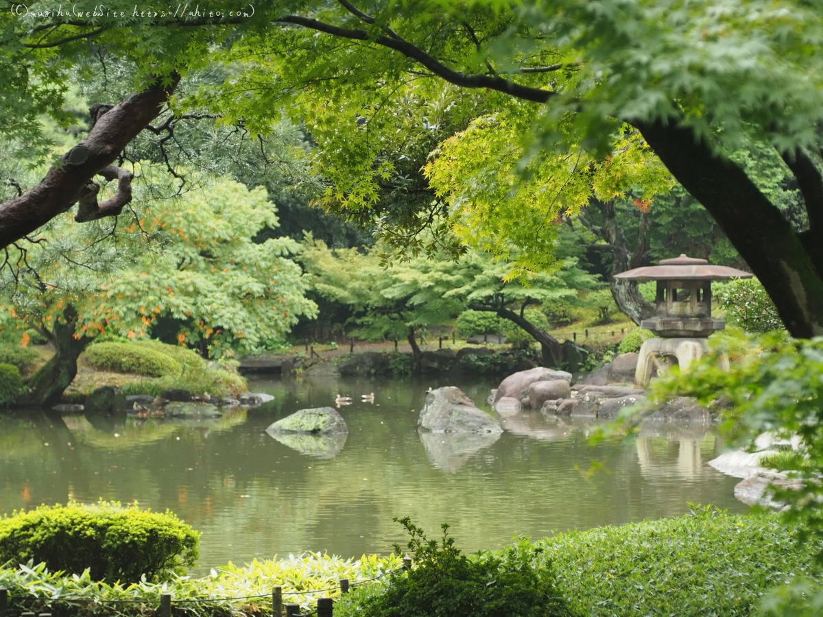 古河庭園 - 06