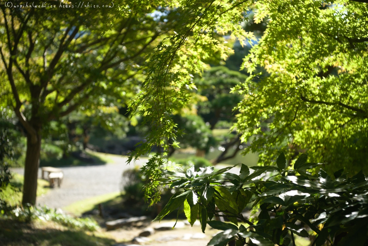 旧芝離宮恩賜庭園 - 05