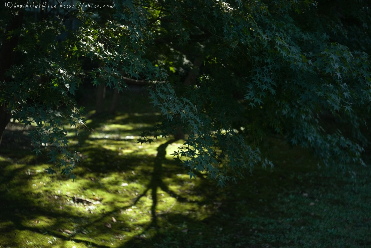 旧芝離宮恩賜庭園 - 09