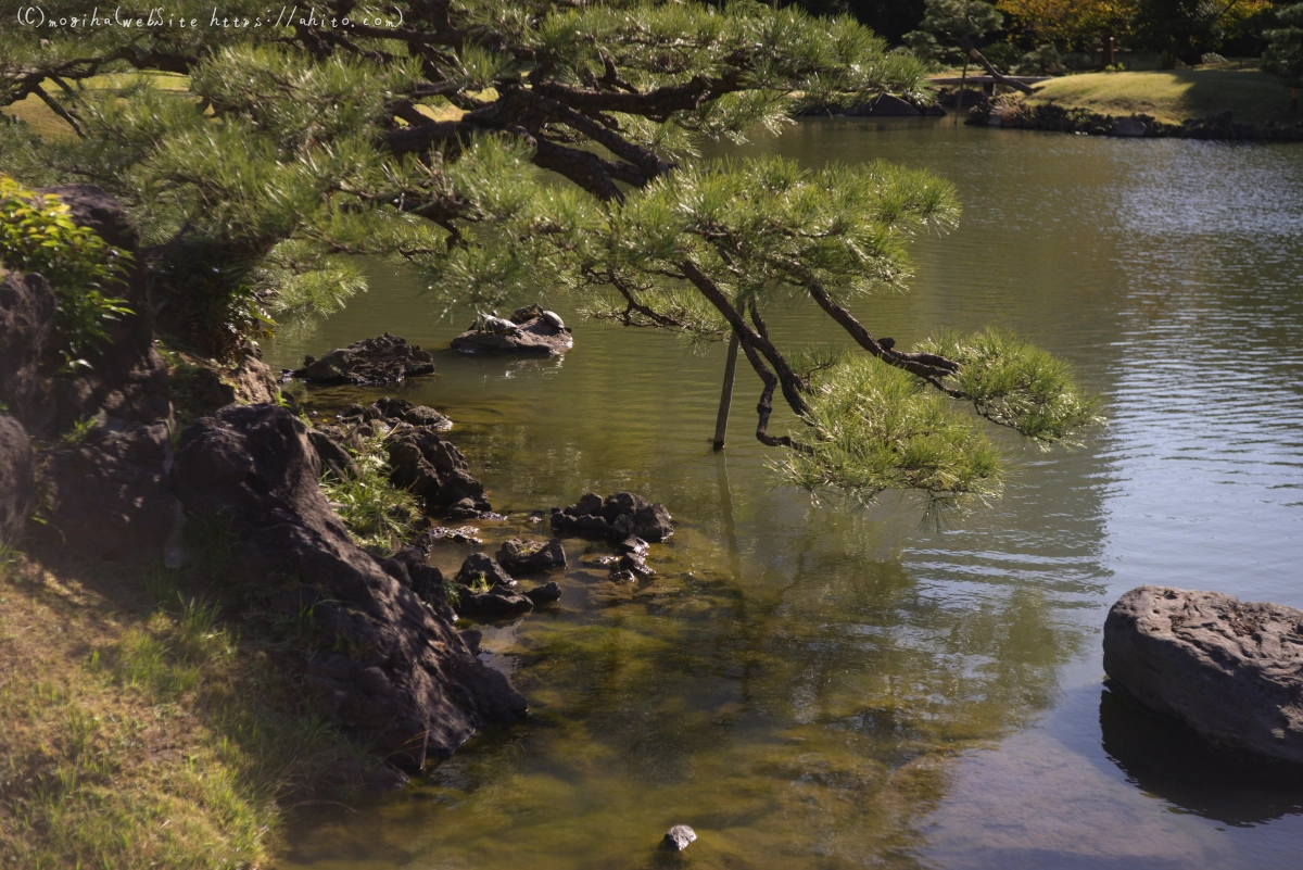 旧芝離宮恩賜庭園 - 13