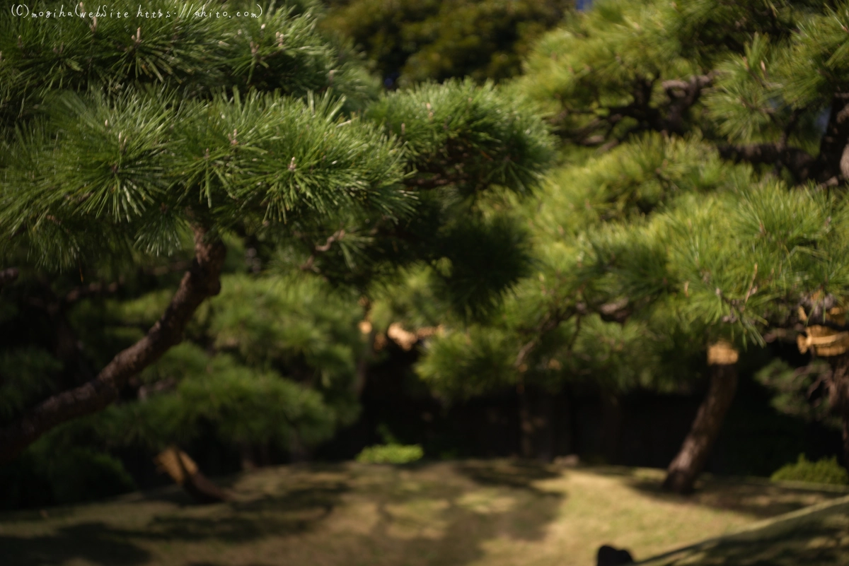 旧芝離宮恩賜庭園 - 17