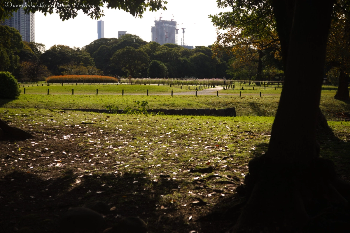 浜離宮恩賜庭園 - 01