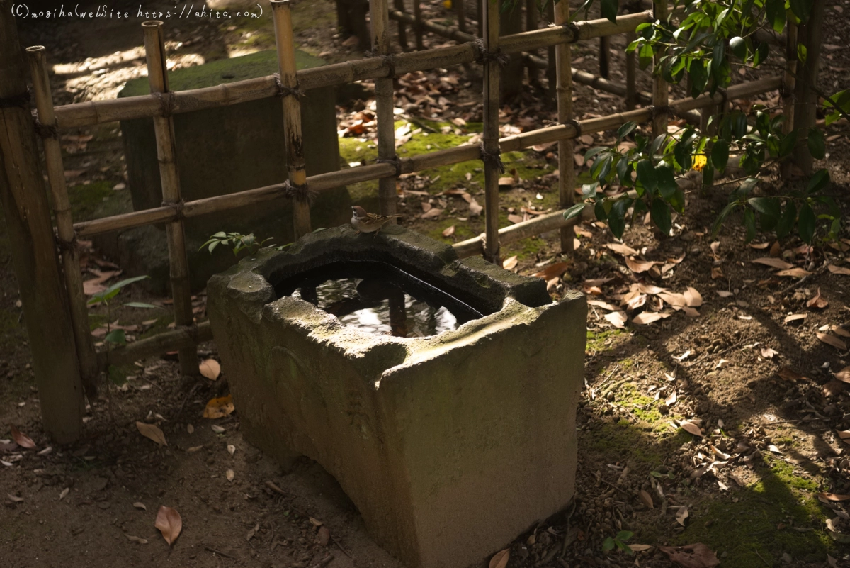 浜離宮恩賜庭園 - 04