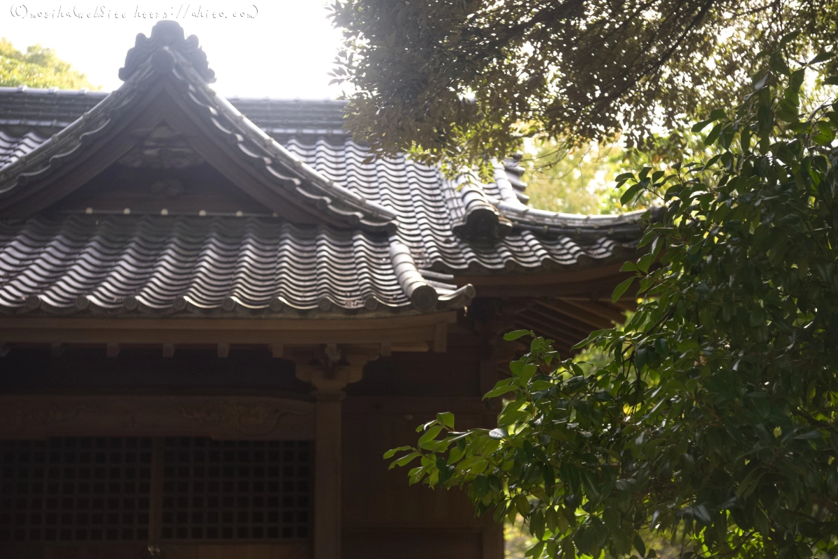 浜離宮恩賜庭園 - 06