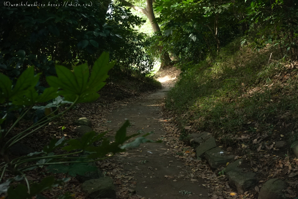 浜離宮恩賜庭園 - 12