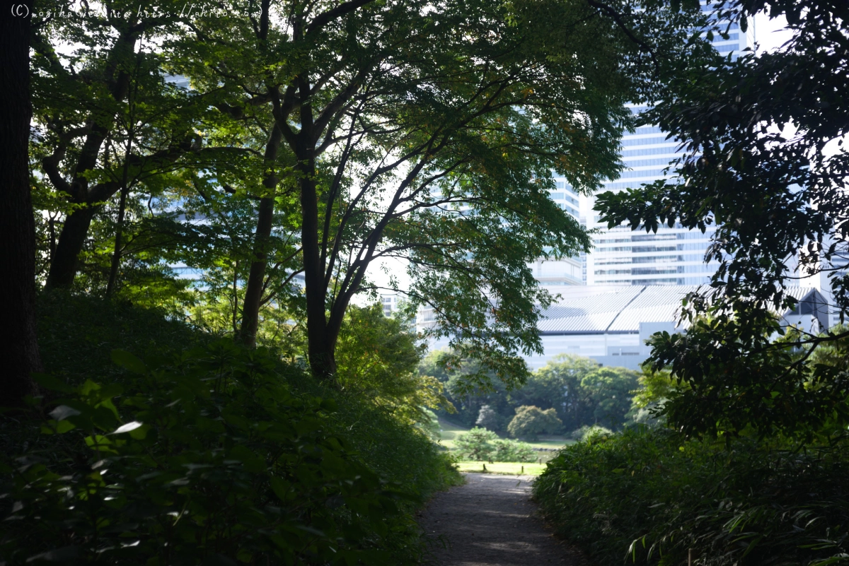 浜離宮恩賜庭園 - 18