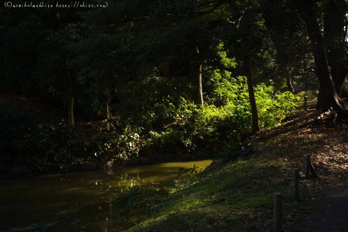 浜離宮恩賜庭園 - 29
